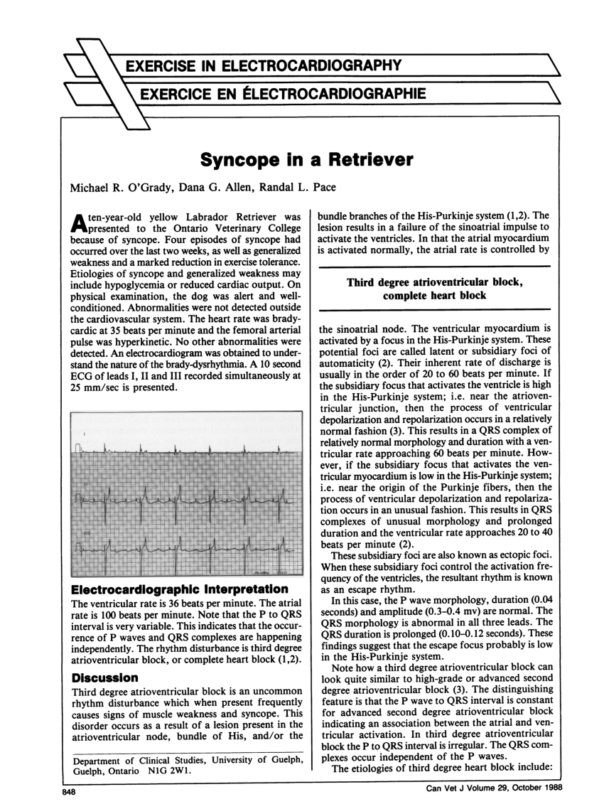 pdf-syncope-in-a-retriever