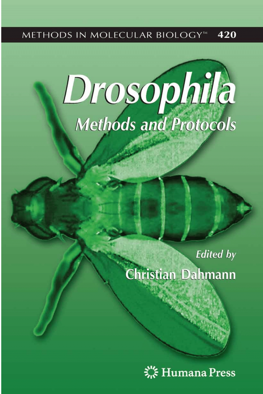 PDF) Methods for Homologous Recombination in Drosophila