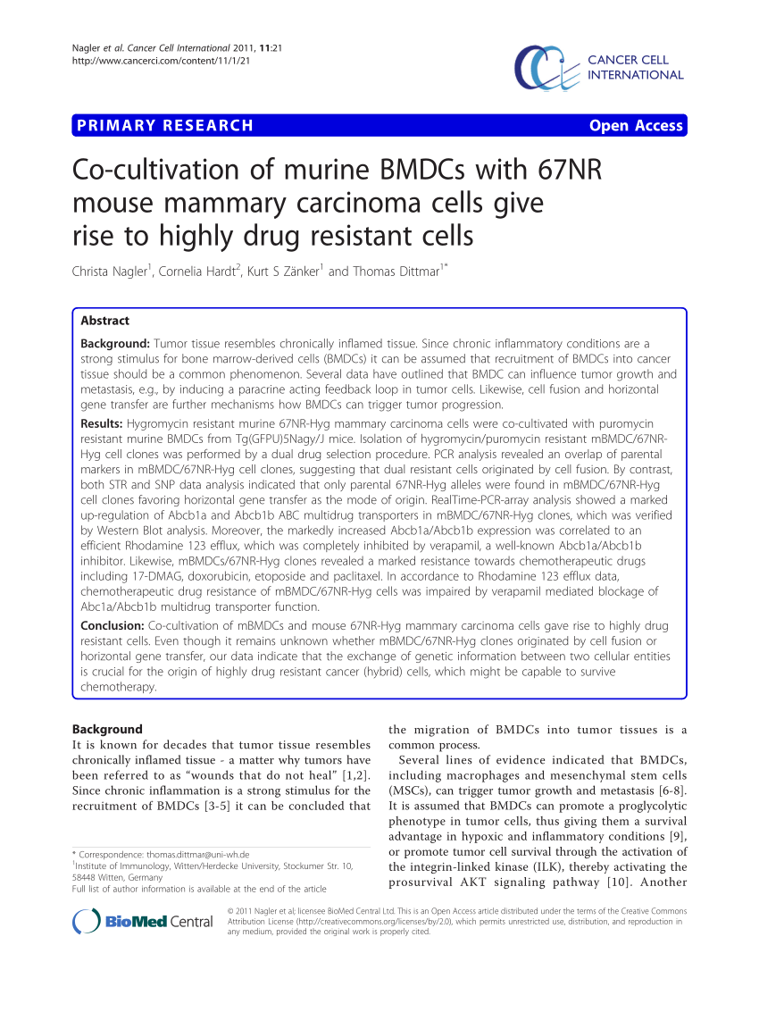 PDF) Co-cultivation of murine BMDCs with 67NR mouse mammary ...