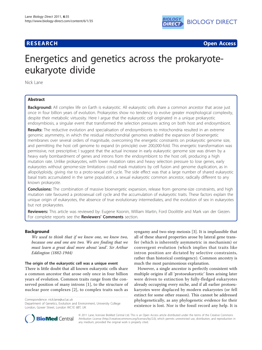 PDF Energetics and genetics across the prokaryote eukaryote divide 