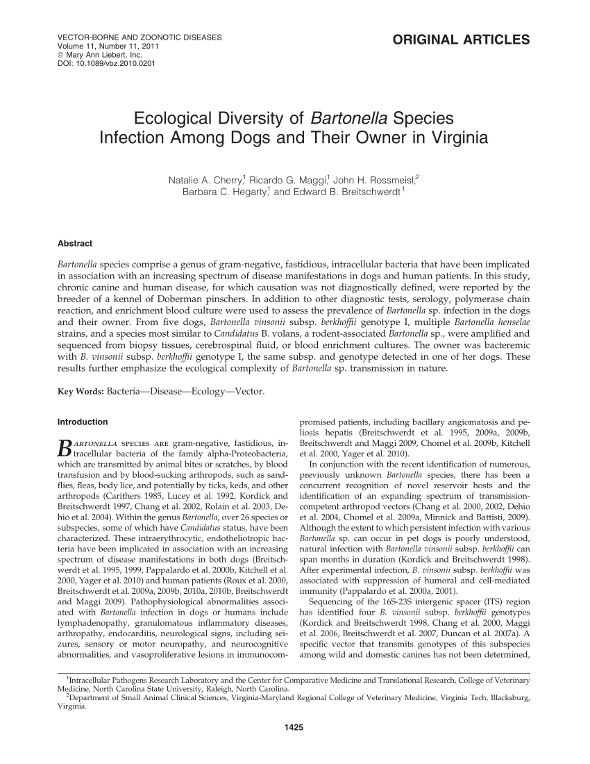 Natural History of Bartonella Infections (an Exception to Koch's