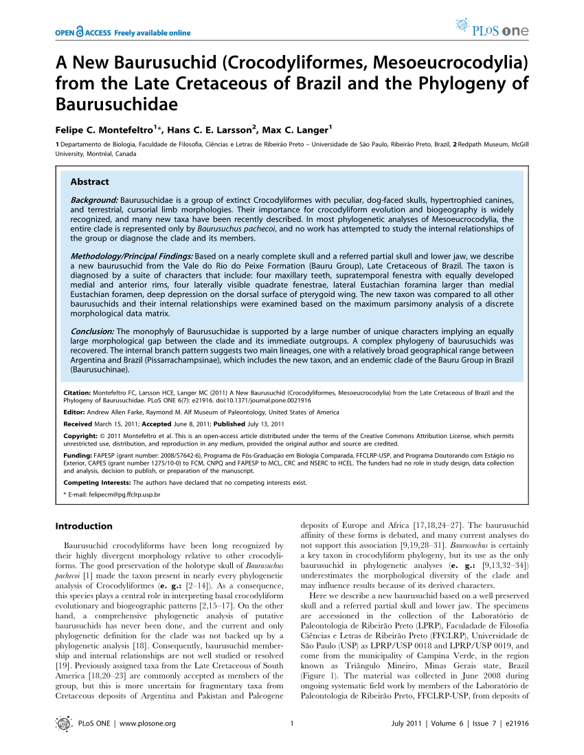 PDF) A new Baurusuchidae (Notosuchia, Crocodyliformes) from the