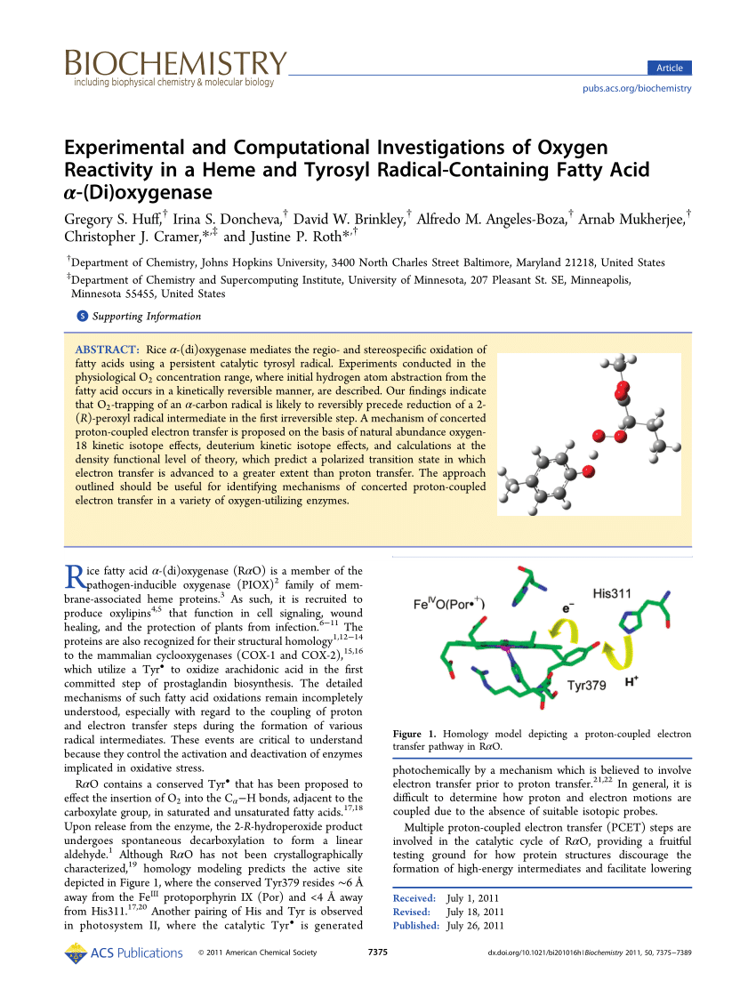 PDF) Experimental and Computational Investigations of Oxygen Reactivity in  a Heme and Tyrosyl Radical-Containing Fatty Acid α-(Di)oxygenase