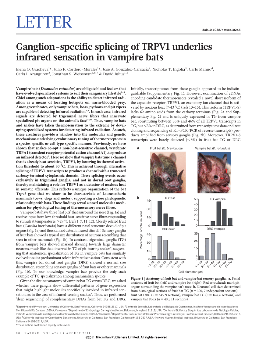 Pdf Ganglion Specific Splicing Of Trpv1 Underlies Infrared Sensation In Vampire Bats