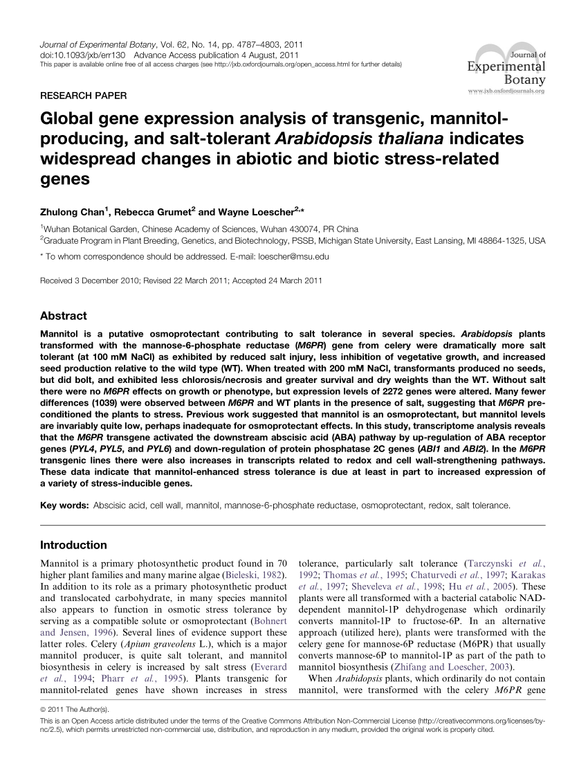 Pdf Global Gene Expression Analysis Of Transgenic Mannitol