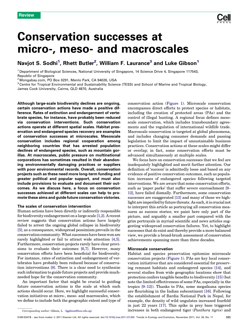 Comparing micro to macro. (A) A biological microscale, here a set of