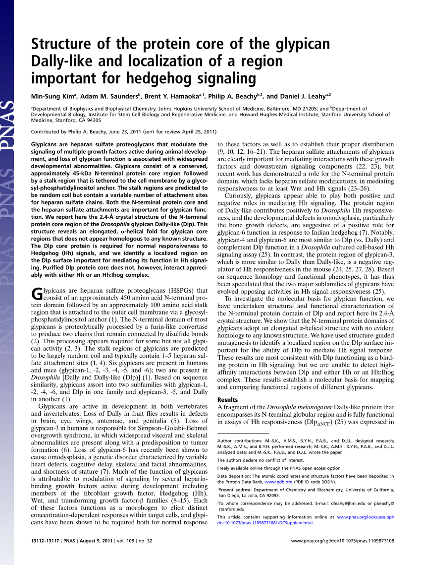 (PDF) The glypican Dally-like is required for Hedgehog 