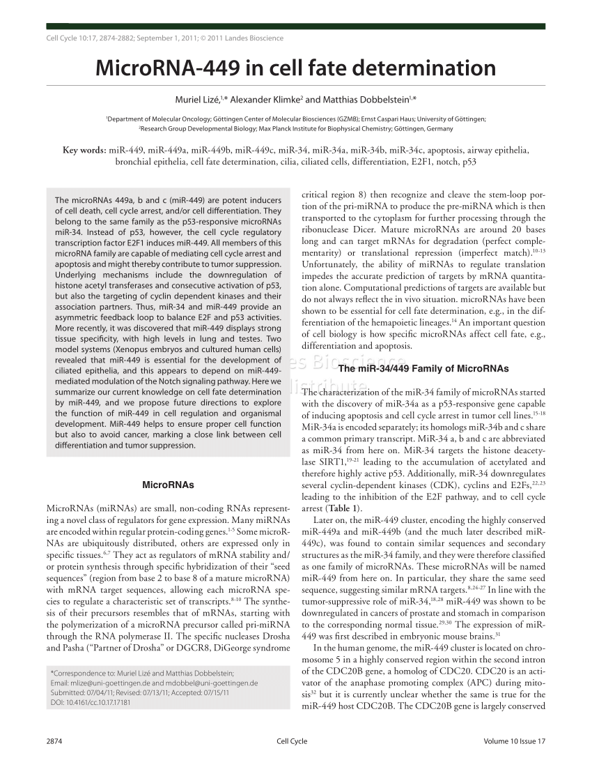 Pdf Microrna 449 In Cell Fate Determination