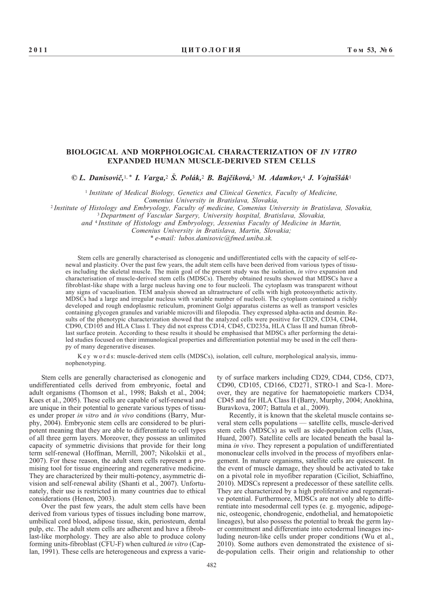 Morphology of MDSCs under inverted microscope. a — heterogenous 