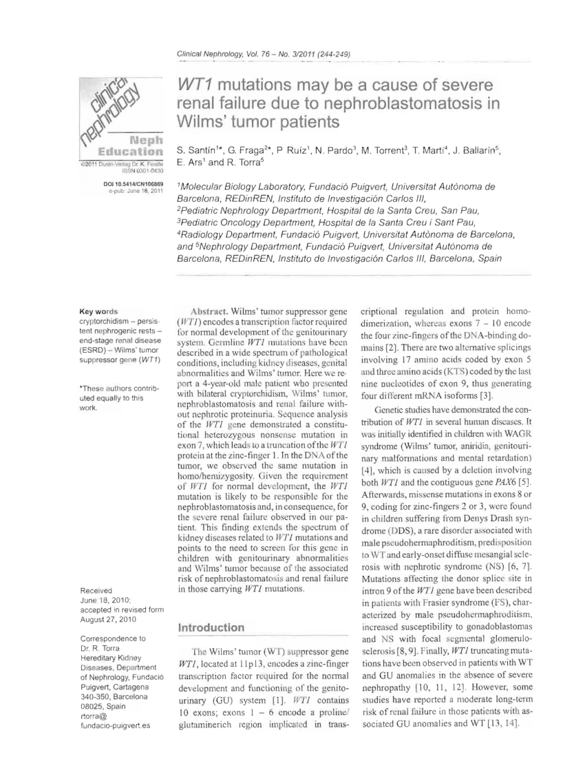 Immunohistochemical Analysis Demonstrates An Almost Complete Absence Of Download Scientific Diagram