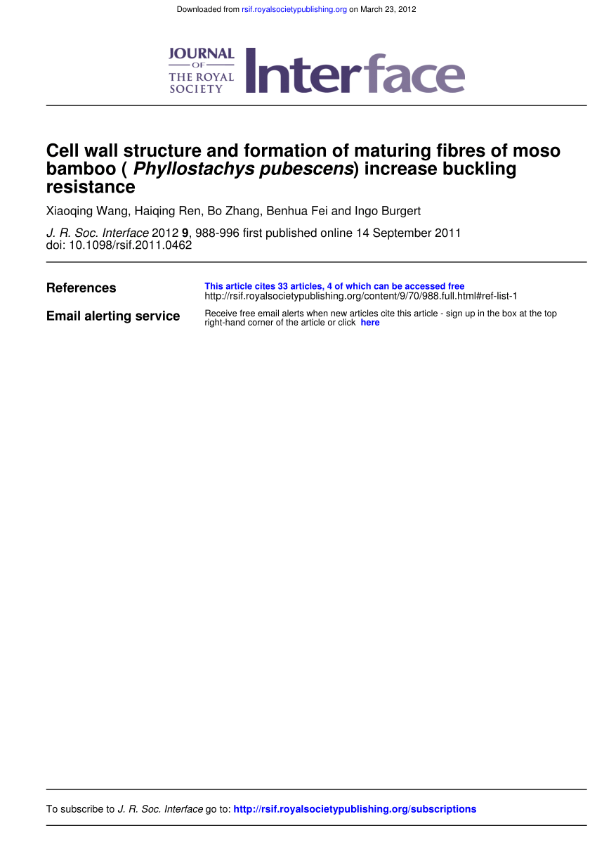 PDF) Cell wall structure and formation of maturing fibres of moso ...