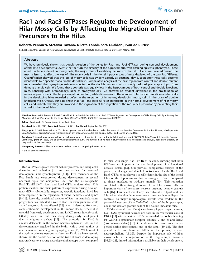 Pdf Rac1 And Rac3 Gtpases Regulate The Development Of Hilar Mossy Cells By Affecting The 