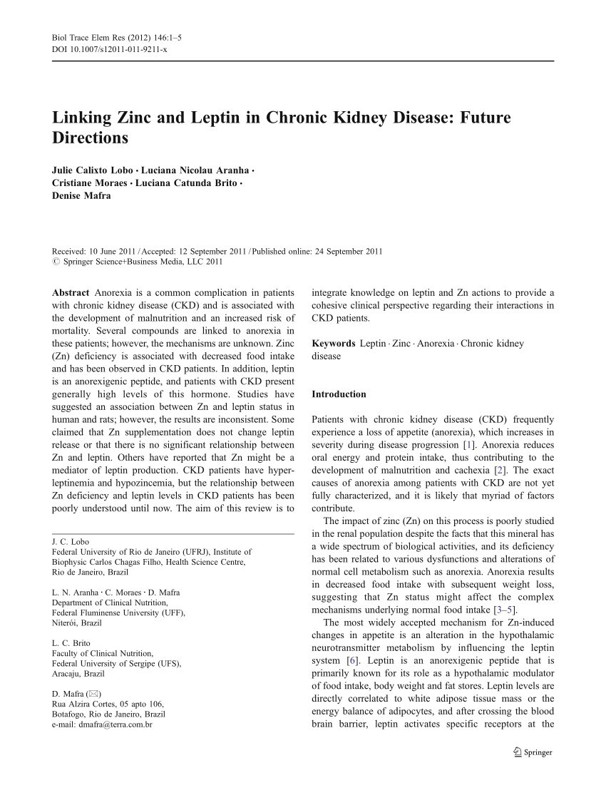 (PDF) Linking Zinc and Leptin in Chronic Kidney Disease Future Directions