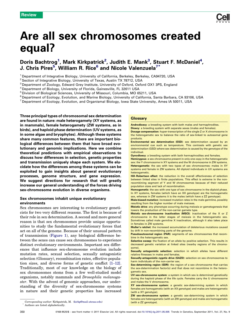 PDF) Are all sex chromosomes created equal?