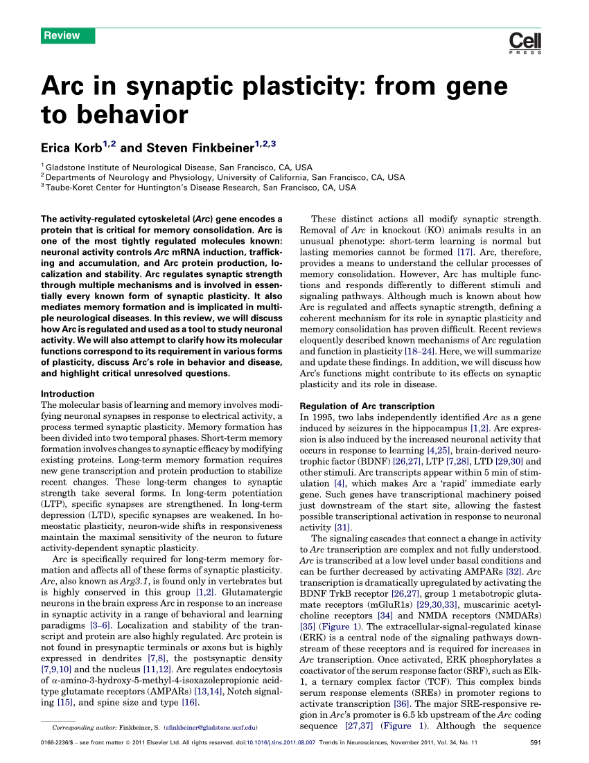 Excitation–transcription coupling, neuronal gene expression and synaptic  plasticity