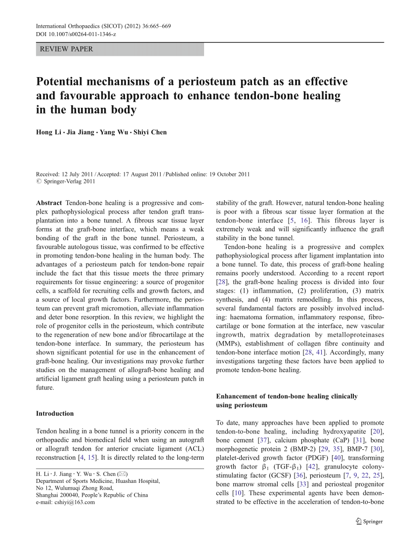 (PDF) Potential mechanisms of a periosteum patch as an effective and