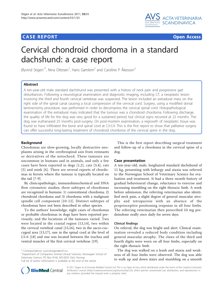 Pdf Cervical Chondroid Chordoma In A Standard Dachshund A Case Report 4019