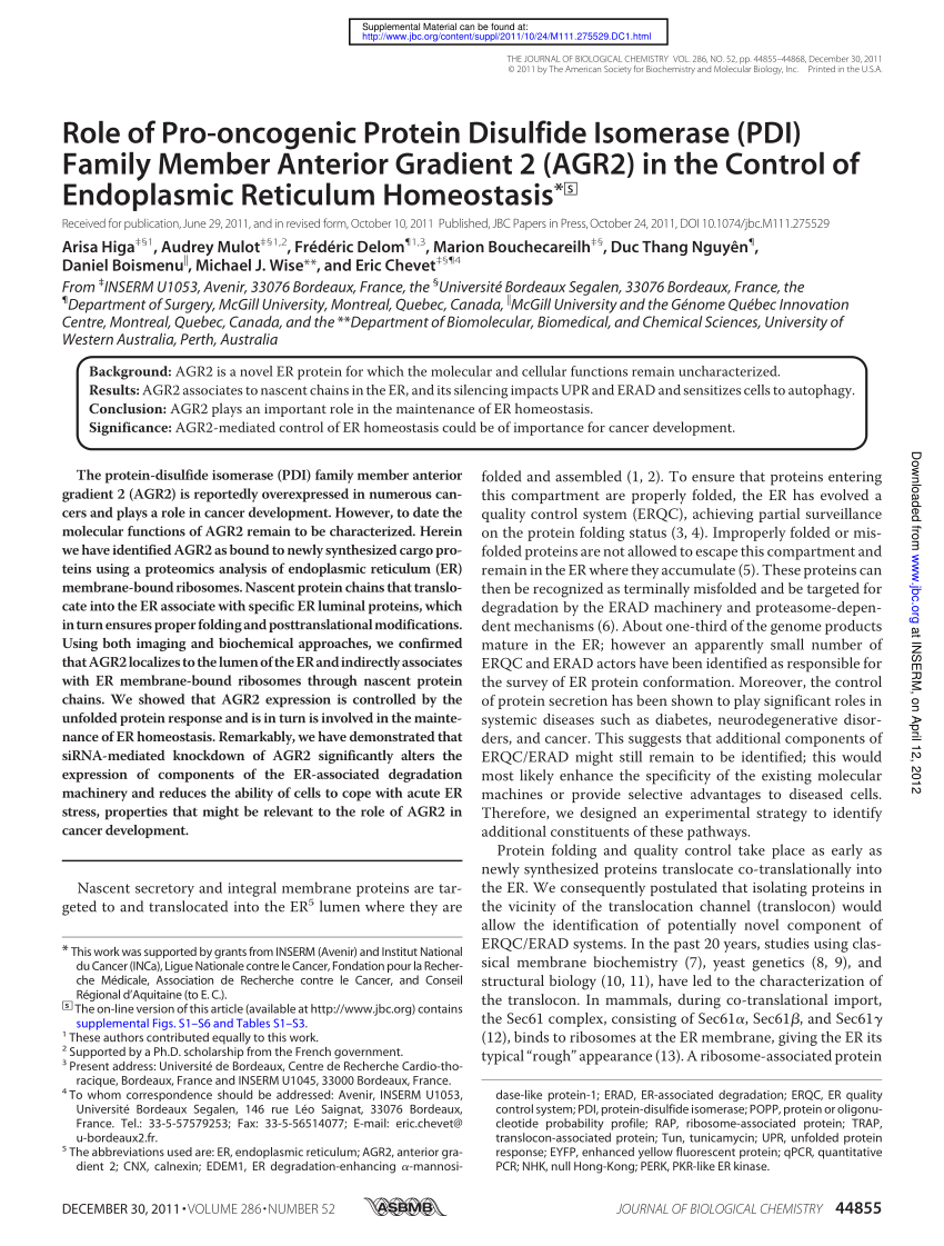 (PDF) Role of Pro-oncogenic Protein Disulfide Isomerase (PDI) Family Sns-Brigh10