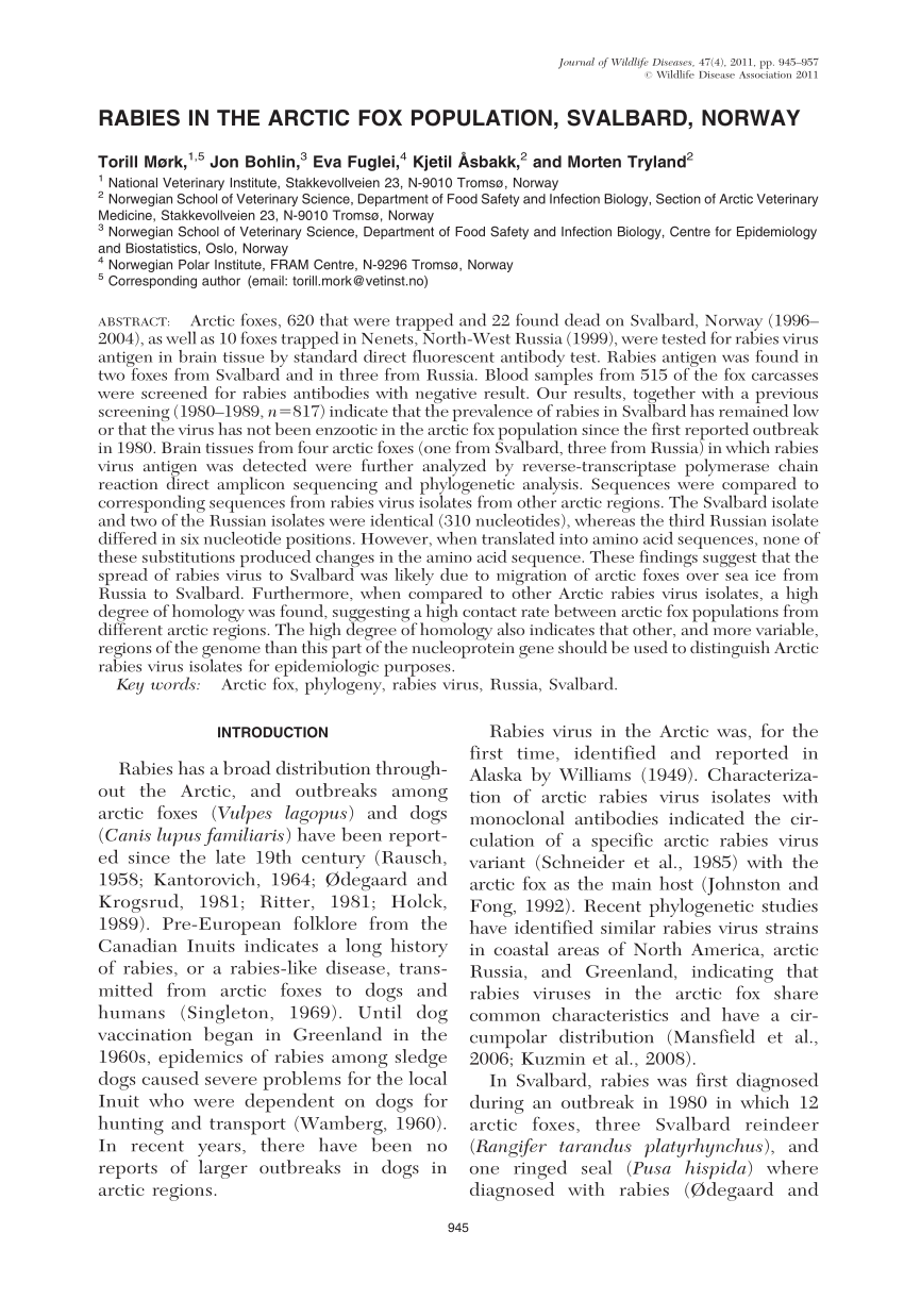 (PDF) Rabies in the arctic fox population, Svalbard, Norway