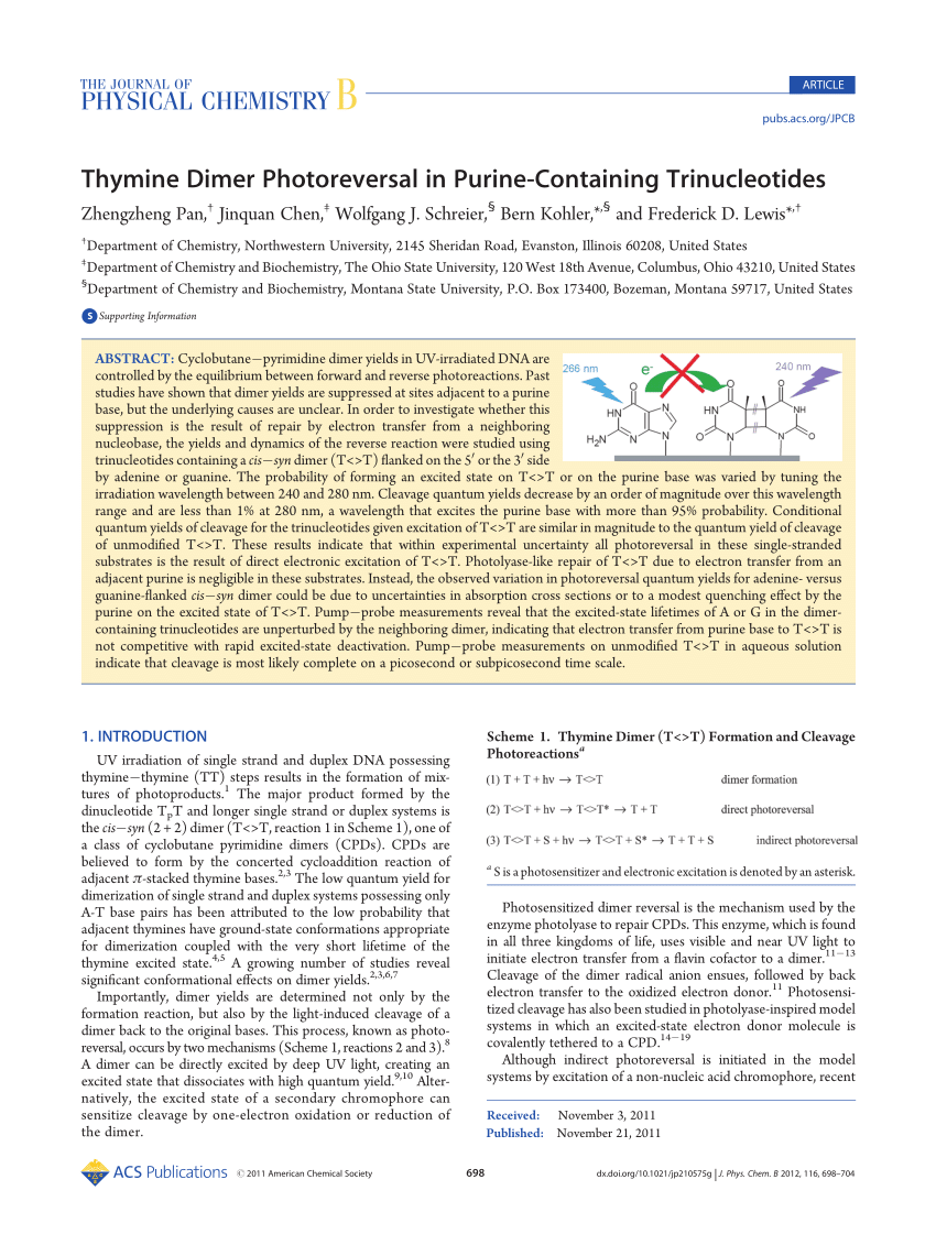 Dimethicone - American Chemical Society