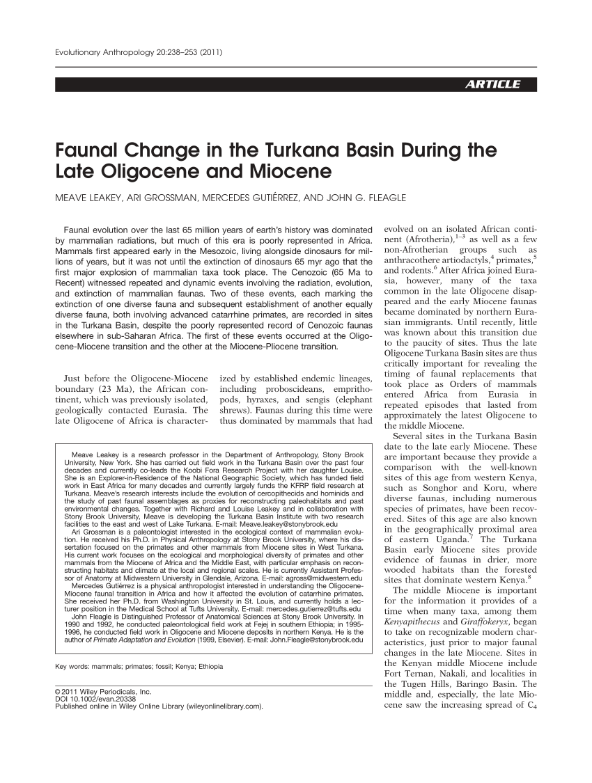 Pdf Faunal Change In The Turkana Basin During The Late Oligocene