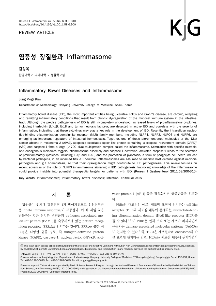 active korean 1 pdf