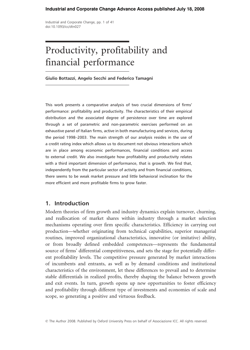 literature review on profitability pdf