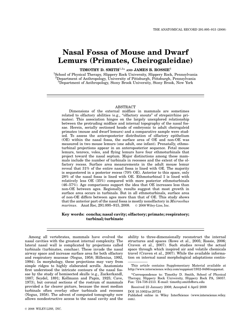 PDF) Nasal Fossa of Mouse and Dwarf Lemurs (Primates, Cheirogaleidae)