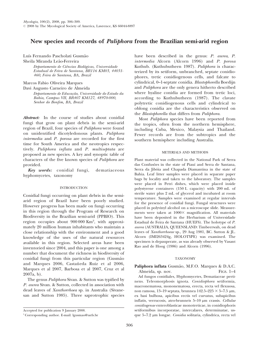 Pdf New Species And Records Of Paliphora From The Brazilian Semi Arid Region 7681