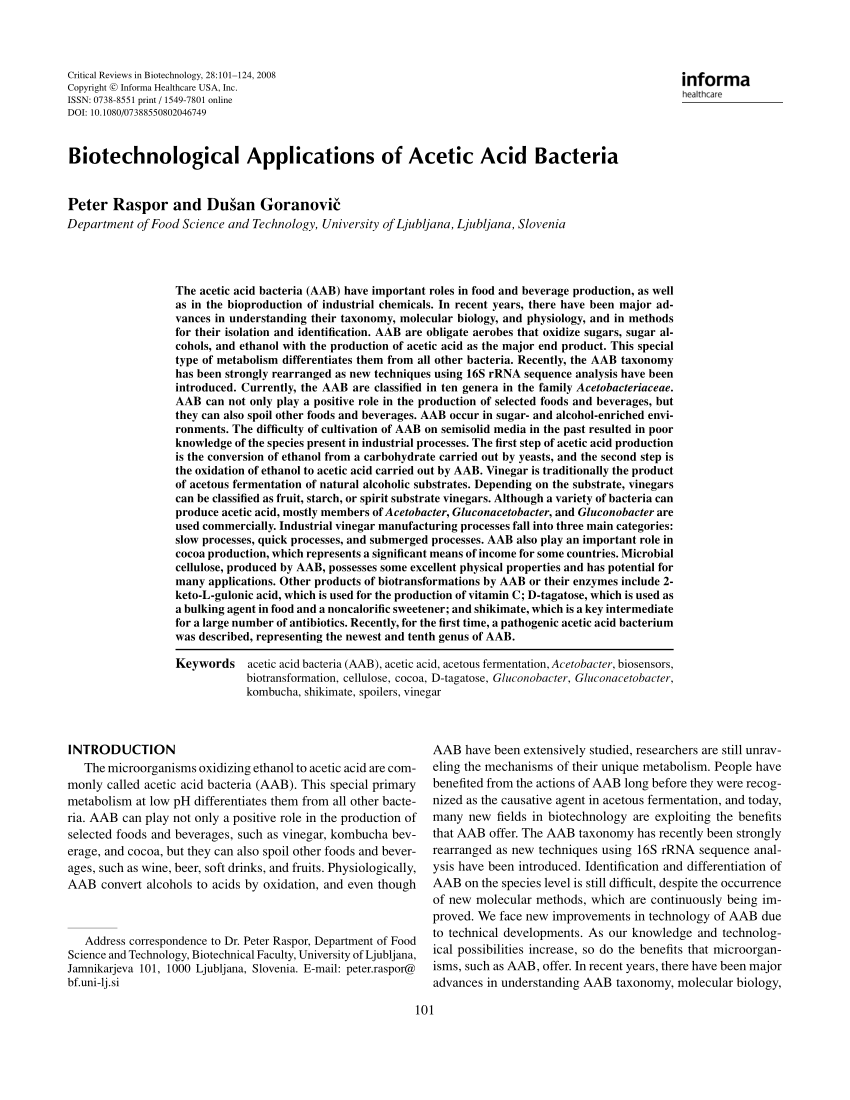 acetic acid bacteria in kombucha