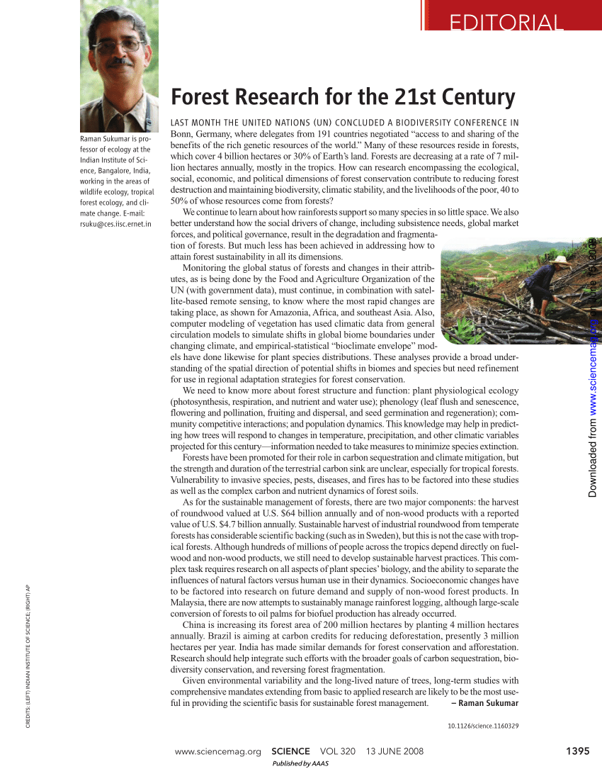 research article on forest