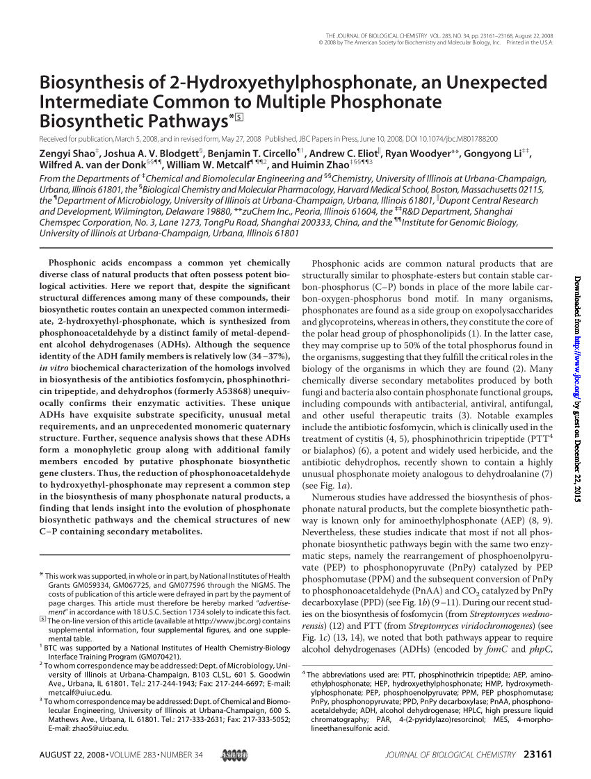 Biosynthesis of Argolaphos Illuminates the Unusual Biochemical