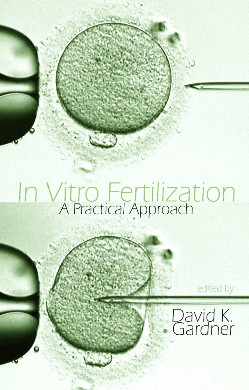 In vitro fertilization это