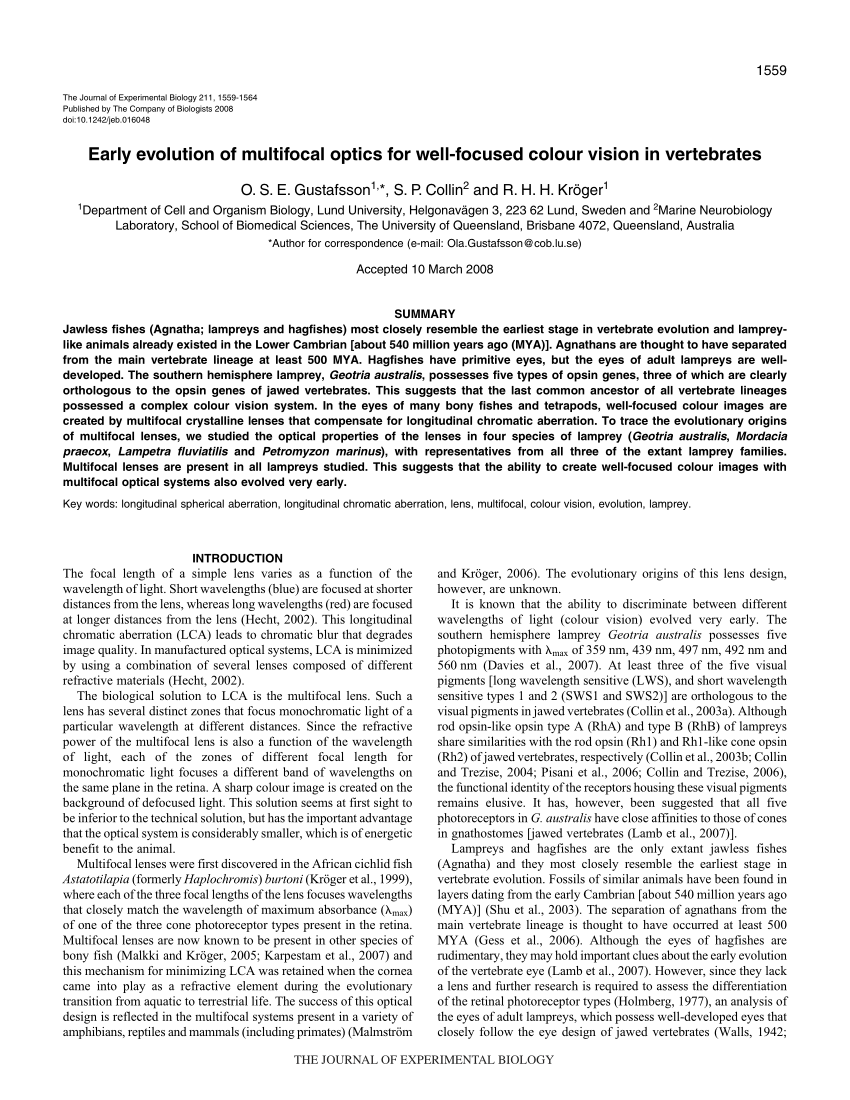 (PDF) Early evolution of multifocal optics for well-focused colour