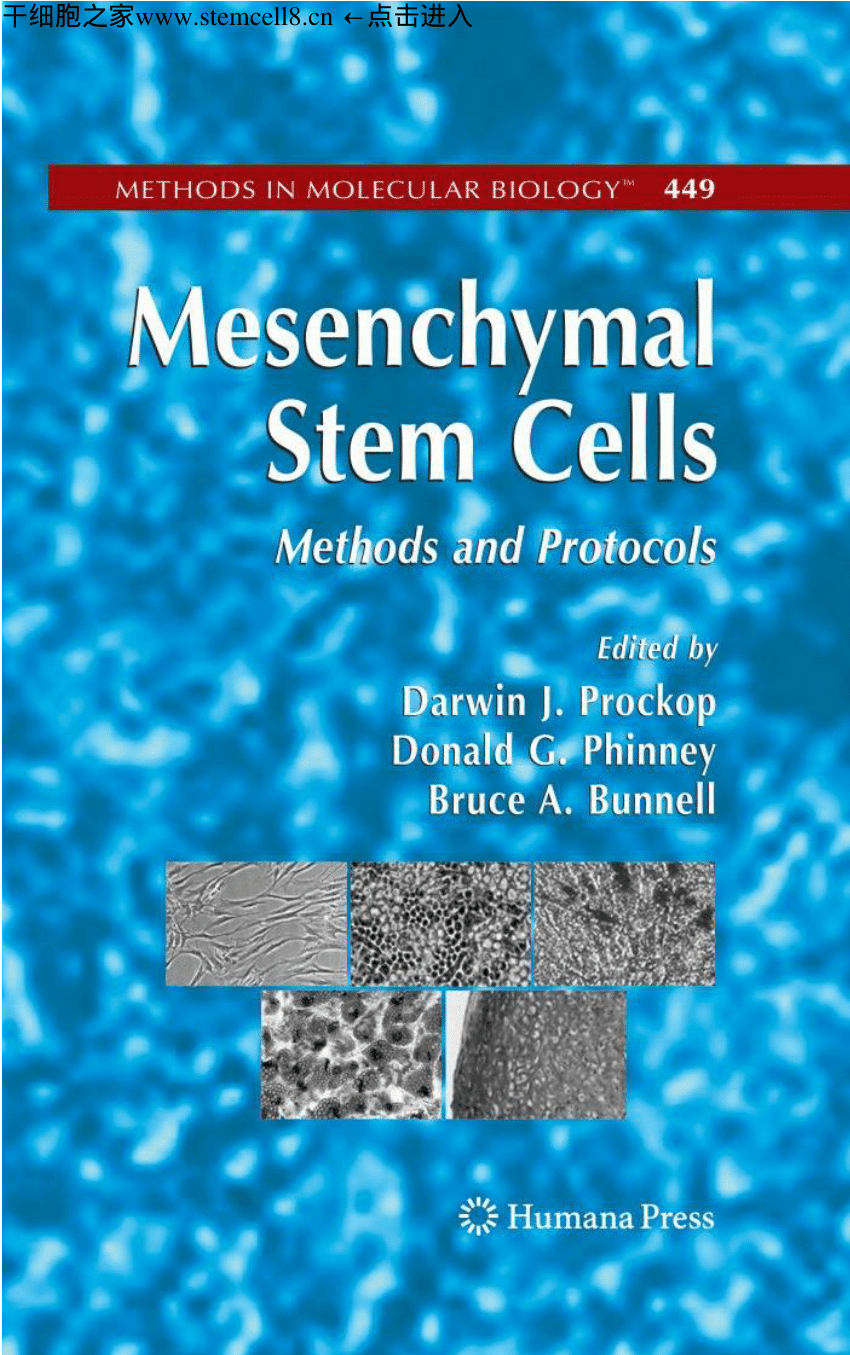 PDF) Adipose-Derived Stem Cells