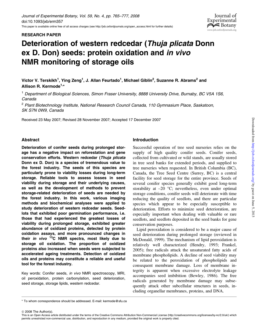 Pdf Deterioration Of Western Redcedar Thuja Plicata Donn Ex D Don Seeds Protein Oxidation And In Vivo Nmr Monitoring Of Storage Oils