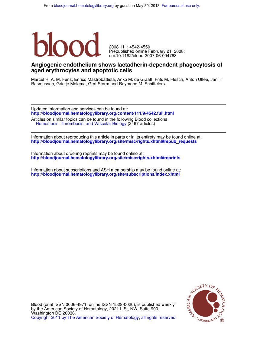 Pdf Angiogenic Endothelium Shows Lactadherin Dependent Phagocytosis Of Aged Erythrocytes And Apoptotic Cells