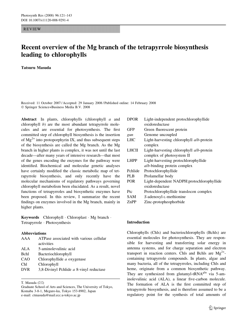 PDF) Recent overview of the Mg branch of the tetrapyrrole biosynthesis leading to chlorophylls bild