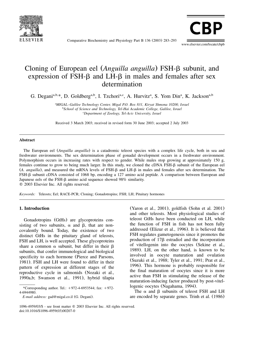 Pdf Cloning Of European Eel Anguilla Anguilla Fsh B Subunit And Expression Of Fsh B And Lh B In Males And Females After Sex Determination