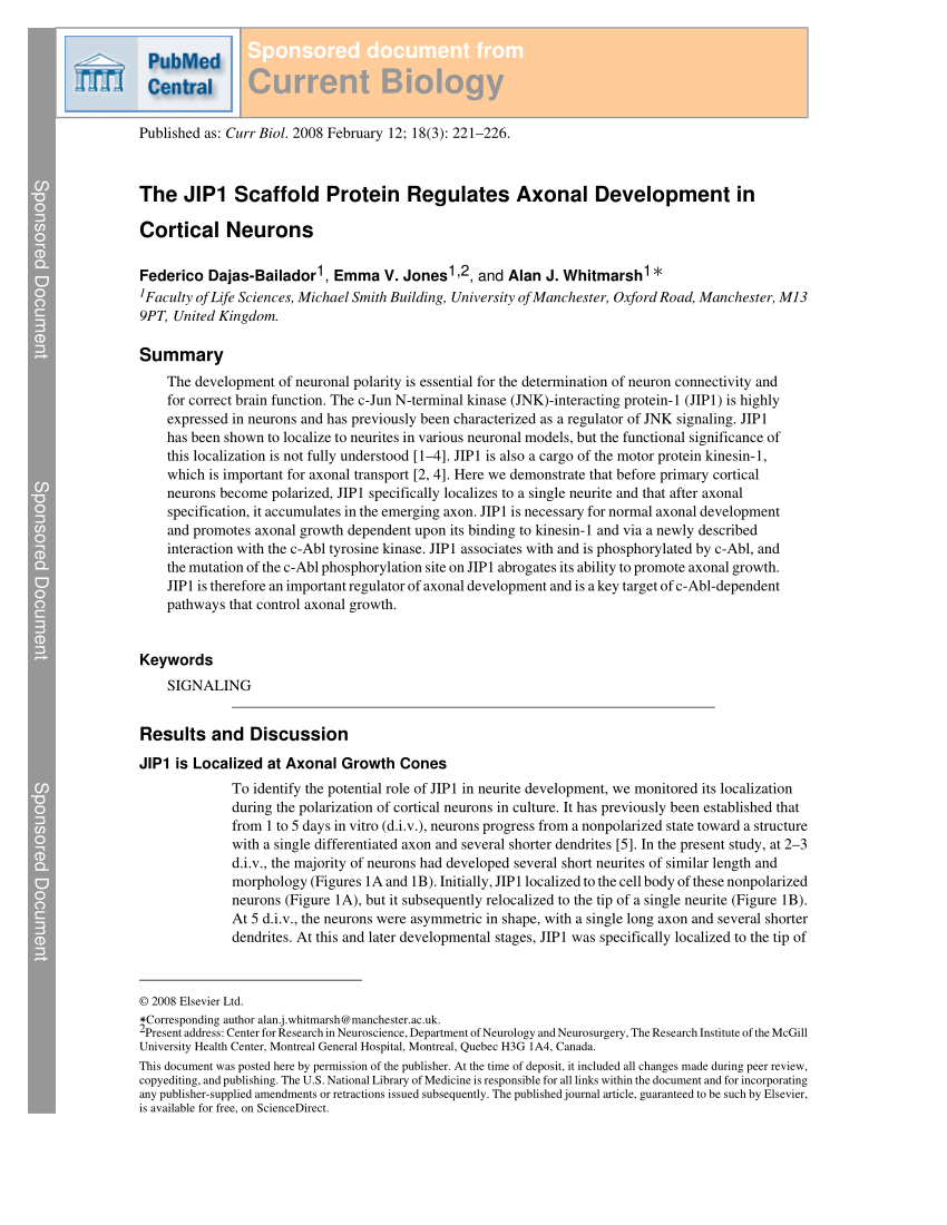 protein scaffold pdf
