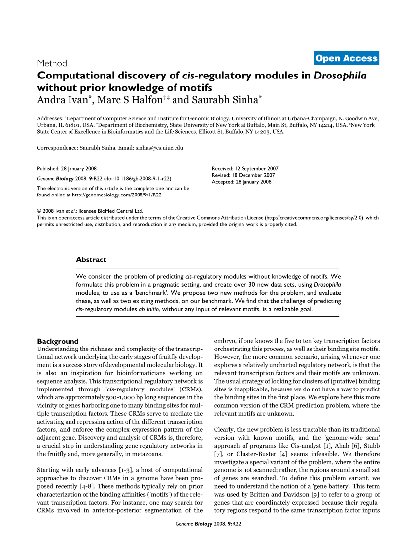 CIS-Discovery Prüfungsvorbereitung