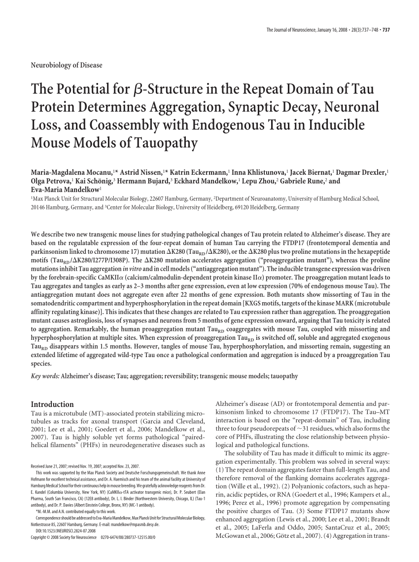 PDF) The Potential for -Structure in the Repeat Domain of Tau 