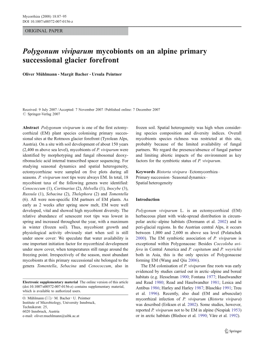 Pdf Polygonum Viviparum Mycobionts On An Alpine Primary