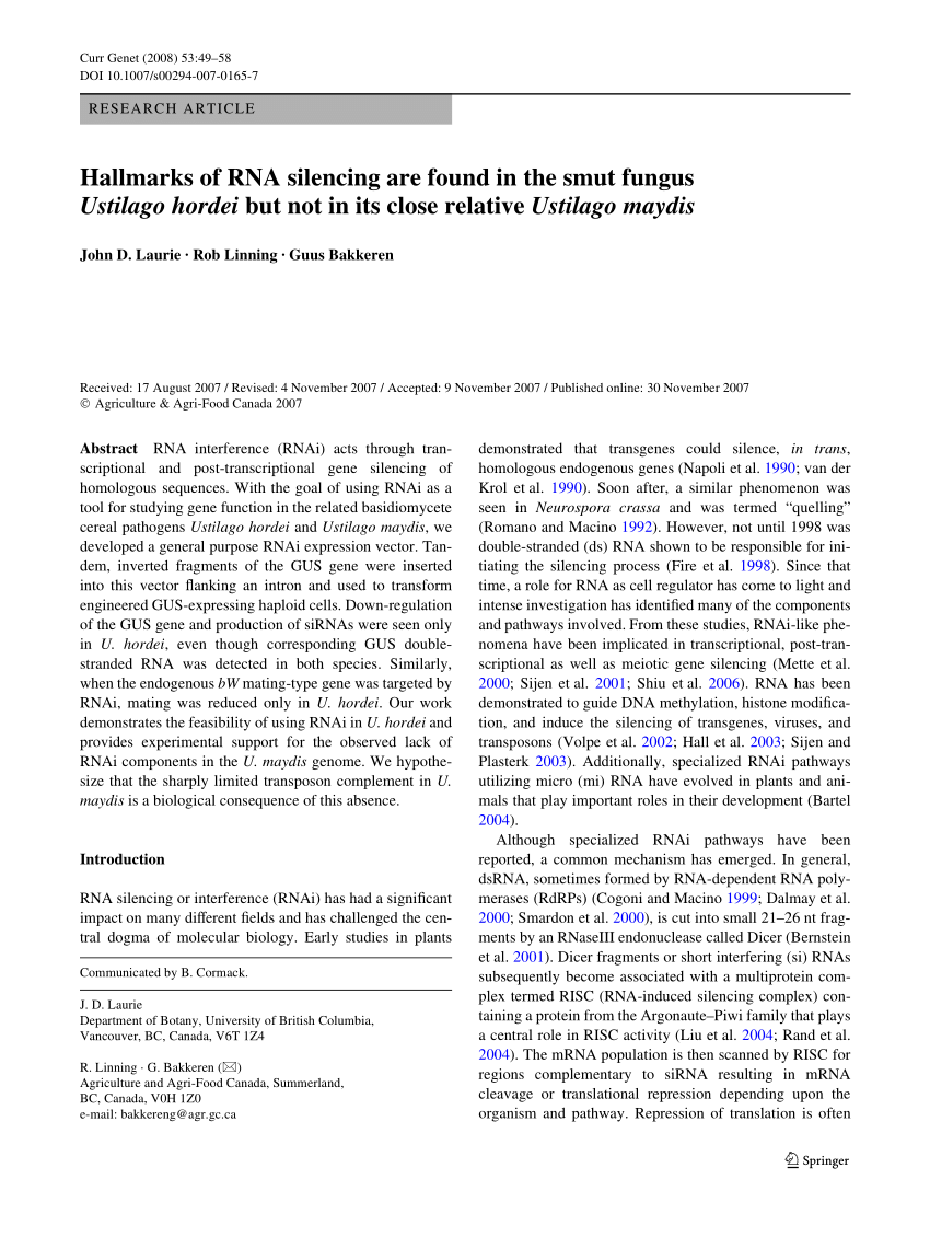 Pdf Hallmarks Of Rna Silencing Are Found In The Smut Fungus Ustilago Hordei But Not In Its Close Relative Ustilago Maydis