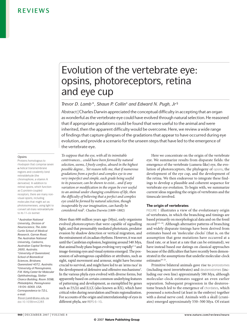 (PDF) Evolution of the vertebrate eye: Opsins, photoreceptors, retina