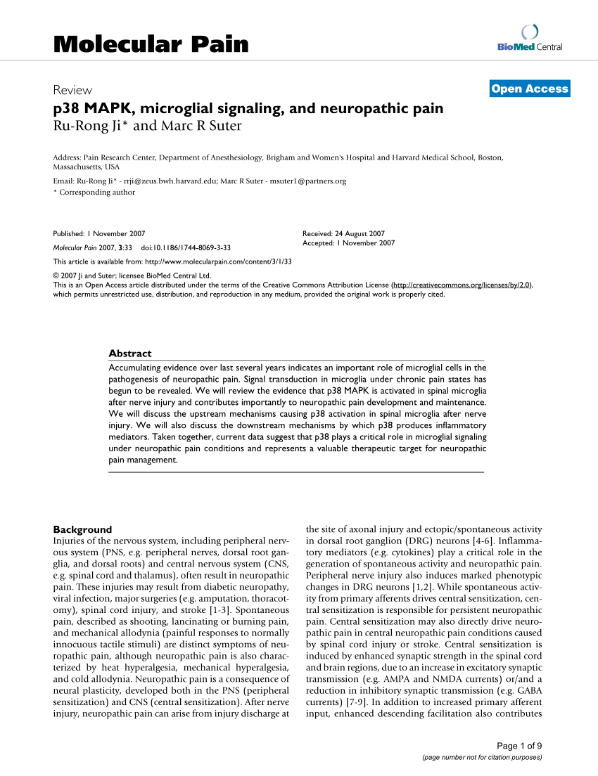 Pdf P38 Mapk Microglial Signaling And Neuropathic Pain