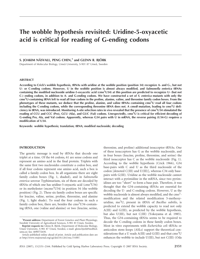 wobble hypothesis pdf