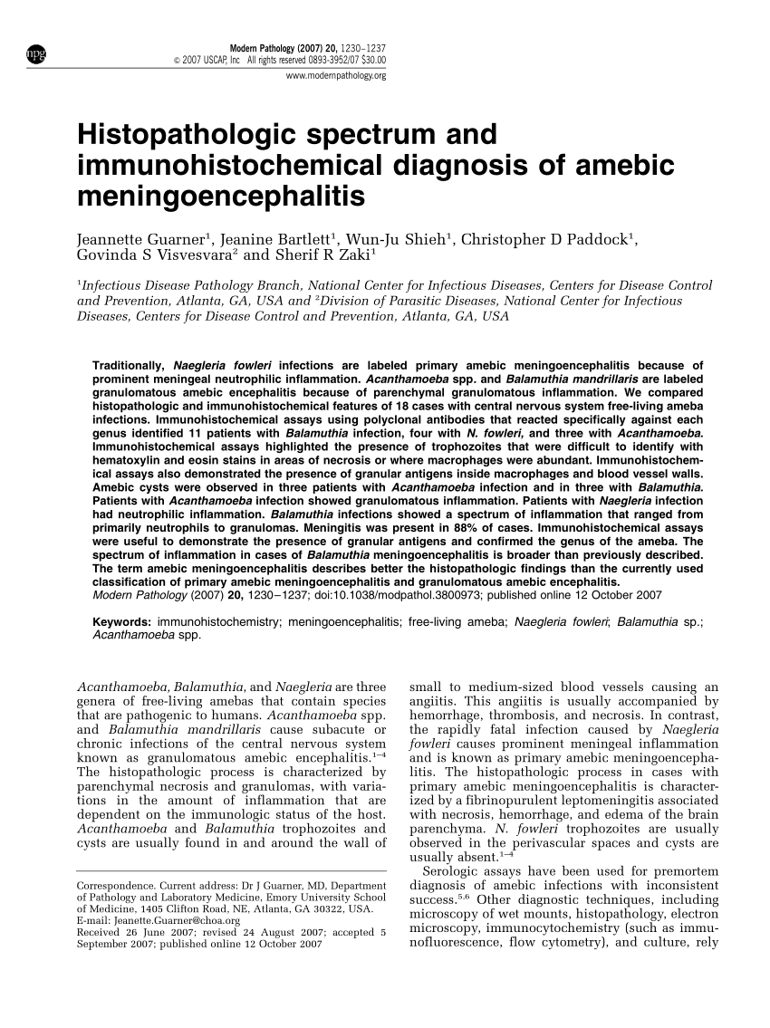 Pdf Histopathologic Spectrum And Immunohistochemical Diagnosis Of Amebic Meningoencephalitis