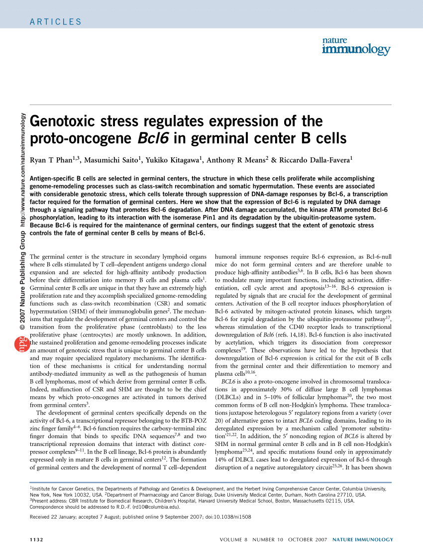 Pdf Genotoxic Stress Regulates Expression Of The Proto Oncogene l6 In Germinal Center B Cells