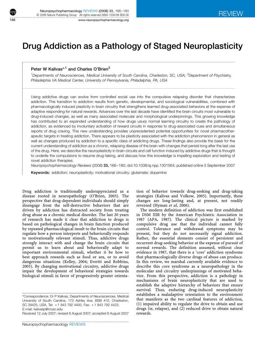 literature review of drug addiction